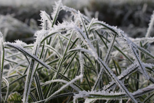 cold weather cold weather