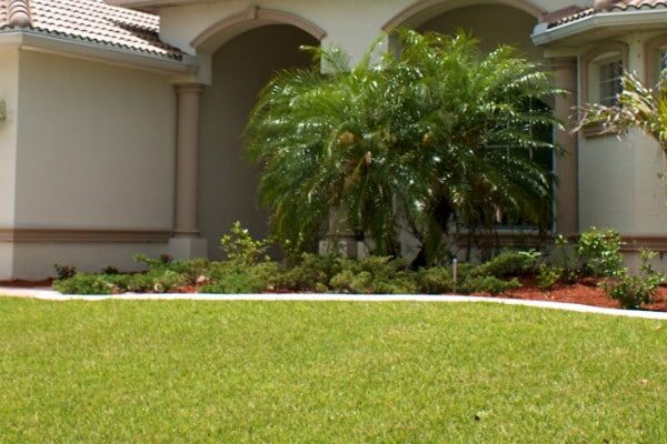 Pest Control Sarasota