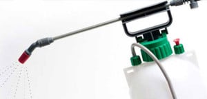 pspest3 &bull; Problem Solved Pest Control