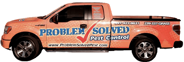 about us • Problem Solved Pest Control