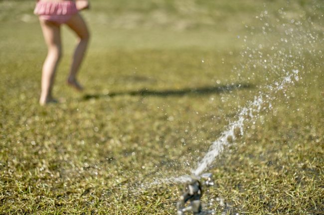 Yard Watering Sprinkler Yard Watering