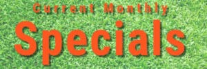 Grass Specials &bull; Problem Solved Pest Control
