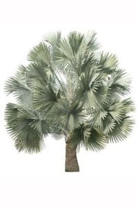 bismarck &bull; Problem Solved Pest Control