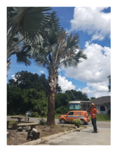 service tech &bull; Problem Solved Pest Control