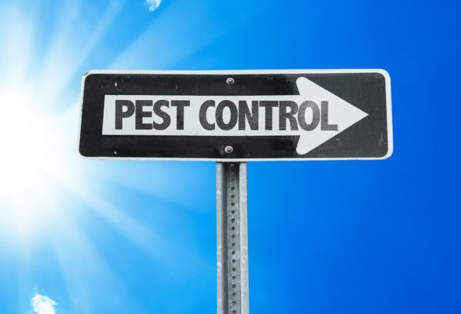pest-control-service pest control service sign