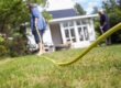 spring pest control tips