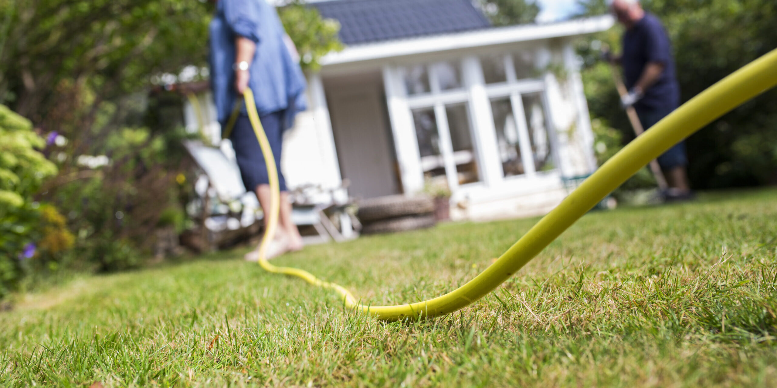 spring pest control tips