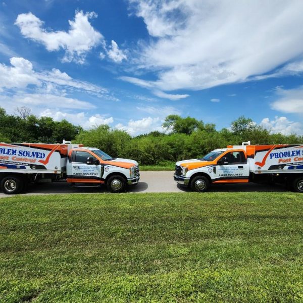 pest control Punta Gorda - Problem Solved Trucks